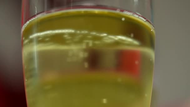 Närbild Individuellt Champagneglas Med Bubblor Som Går Upp Till Ytan — Stockvideo