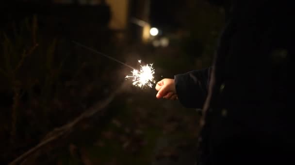 Jovem Rapaz Segurando Sparkler Noite Criança Feliz Celebrando Feriados — Vídeo de Stock