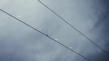 Hareket halindeki bir trenin yolcu görüntüsü. Mavi gri karamsar bir günde zaman geçirdiğimi hayal ediyorum.