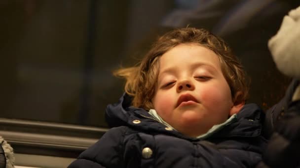子供は電車の中で寝ていた 旅行中に母親の膝の上で眠って小さな男の子を閉じます 子供の昼寝 — ストック動画