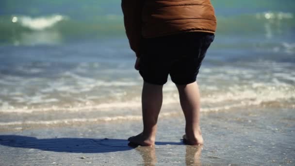 Маленький Хлопчик Стоїть Пляжі Води Штанами Загорнуті Повільний Рух Холодна — стокове відео
