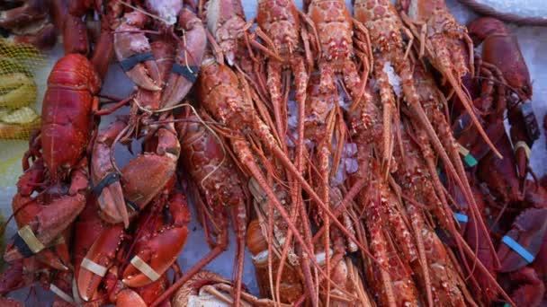 Comida Mar Venta Langostinos Camarones Exhibición Mercado Alimentos — Vídeo de stock