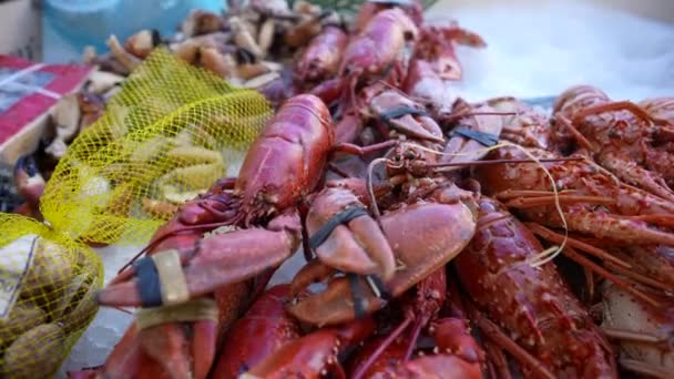 ディスプレイ上の海の食品市場での販売のためのカニやロブスター — ストック動画