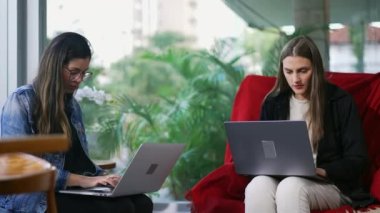 Dürüst kadınlar dizüstü bilgisayarların önünde internete bakıyorlar. Teknolojik modern baloncuklarda bilgisayar kullanan iki kişi. Milenyum jenerasyonu ekranlara bakıyor
