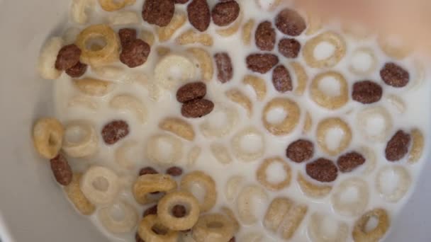 Macro Fechar Cereal Com Leite Colher Conceito Comida Matinal — Vídeo de Stock