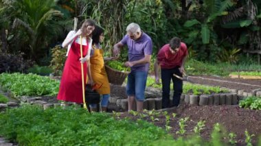 Yerel çiftçiler küçük bir çiftlikte şehir çiftçiliğini tartışıyor. Organik marullarla dolu sepet ve teçhizat taşıyan insanlar planlama yapıyor.