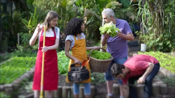 Jardineiros Urbanos Cultivando Agricultura Comunitária Segurando Cesta Orgânica Com Alfaces — Vídeo de Stock