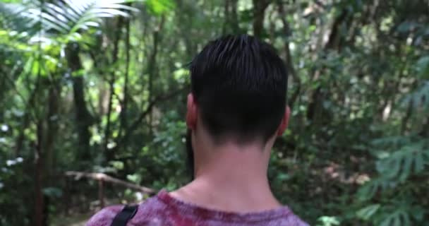 Man Walking Jungle Environment Back Shot Person Walking Tropical Forest — Stock Video