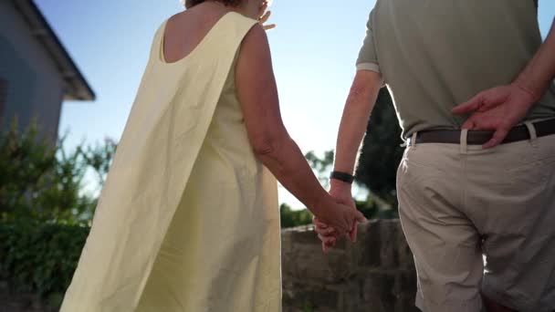 Couple Marié Senior Tenant Main Debout Dehors Avec Une Lueur — Video