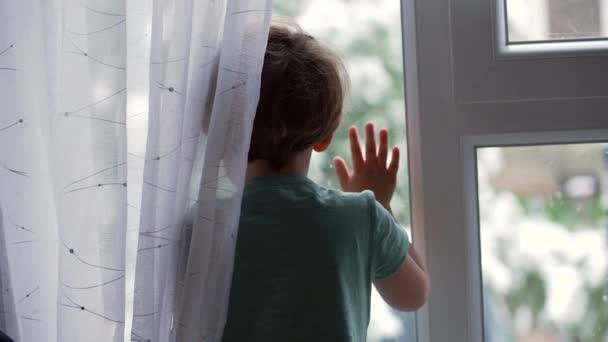 下雪天孩子站在窗边 冬天的时候 小男孩站在玻璃旁边看着外面 — 图库视频影像