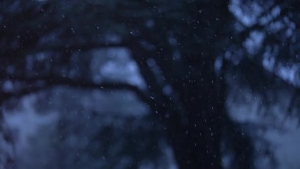 下着暴风雪的雪花特写雪片 — 图库视频影像
