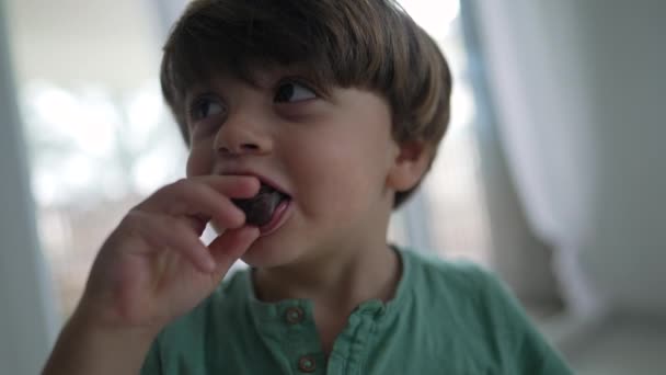 一个快乐的孩子在吃巧克力 小男孩吃甜甜食特写脸 — 图库视频影像
