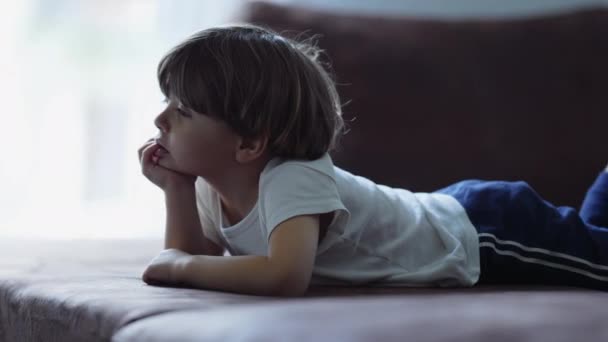 一个快乐的小男孩手牵着下巴在网上看内容 男孩面容凝视着电视 — 图库视频影像