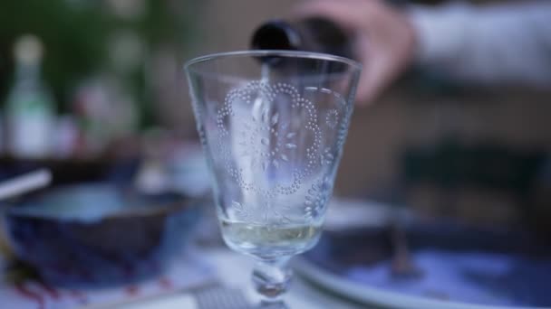 Рука Наливает Белое Вино Бокал Лицо Наслаждающееся Закуской Подающее Алкогольные — стоковое видео