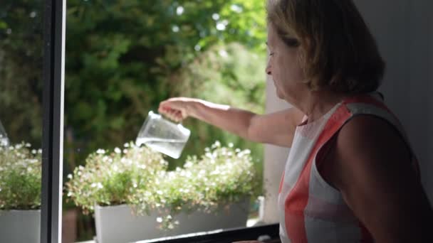 Одна Пожилая Женщина Наливает Воду Растения Через Окно Дома Домашняя — стоковое видео