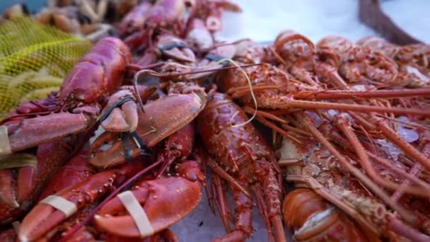 Morskie Jedzenie Sprzedaż Homary Krewetki Wystawie Rynku Spożywczym — Wideo stockowe