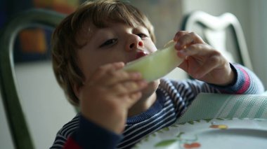 Karpuz meyvesi yiyen küçük çocuk sağlıklı atıştırmalıklar yiyor.