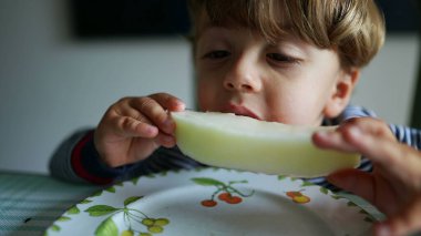 Karpuz meyvesi yiyen küçük çocuk sağlıklı atıştırmalıklar yiyor.