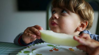 Karpuz meyvesi yiyen küçük çocuk sağlıklı atıştırmalıklar yiyor.