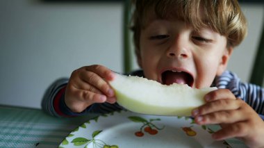 Karpuz meyvesi yiyen küçük çocuk sağlıklı atıştırmalıklar yiyor.