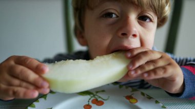 Karpuz meyvesi yiyen küçük çocuk sağlıklı atıştırmalıklar yiyor.