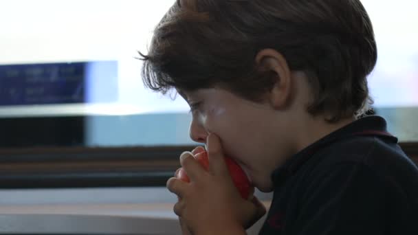 Liten Pojke Som Tar Bit Ett Äpple Barn Äter Hälsosam — Stockvideo