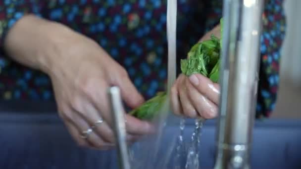 Lavagem Mãos Salada Vegetal Verde Pia Água Mãos Fechando Torneira — Vídeo de Stock