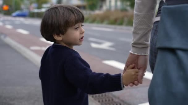 孩子们牵着妈妈的手在十字路口等着过马路 家庭信任概念 父母和孩子手牵手 — 图库视频影像