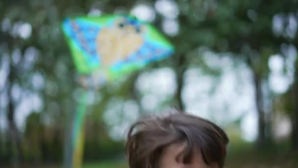 Small Boy Running Kite Park Child Having Fun Flying Kite — 비디오