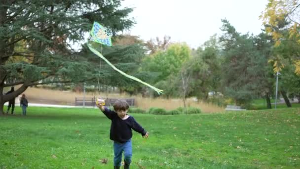 Happy Child Hardlopen Met Vlieger Het Park Tijdens Het Najaar — Stockvideo