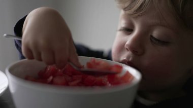 Baby toddler eating bowl of tomato with spoon