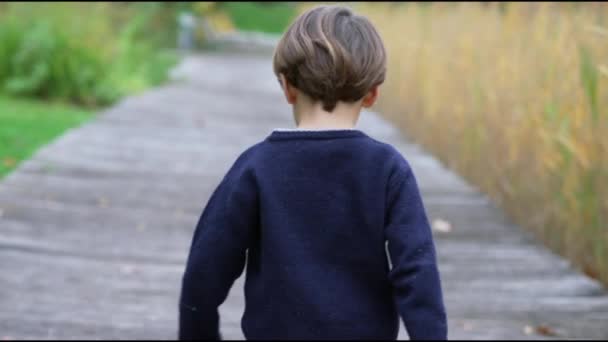 Een Knappe Kleine Jongen Loopt Buiten Tijdens Herfstdag Kind Loopt — Stockvideo