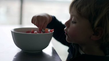 Küçük çocuk sağlıklı kase domates yiyor.