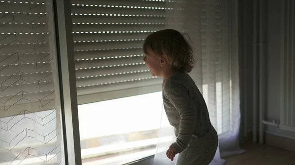 Opening Automatic Blinds Little Toddler Child Watching Shades Morning —  Fotos de Stock