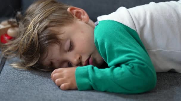 ソファで寝てる男の子 午後の眠りに子供の昼寝 寝てる子供が — ストック動画