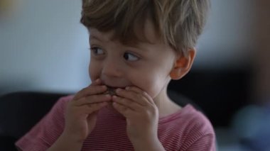 Portrait of small boy eating slice of bread. Child eats nutritious carb food. Hungry kid snacking