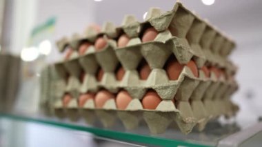 Many Eggs on Grocery store shelf