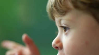 Closeup little boy face traveling by train looking at landscape passing by. Small kid looking at view