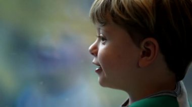 Profile of little boy traveling by train looking at view pass by inside transportation. Closeup child face travels on a trip