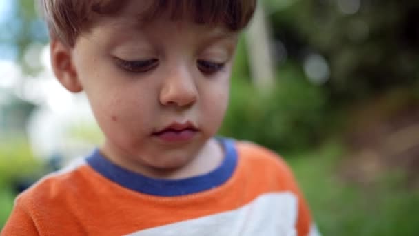 子供はピクニックの外でブルーベリーを食べる 栄養価の高い果実の子供一握り 健康的な食べ物を軽食子供 — ストック動画
