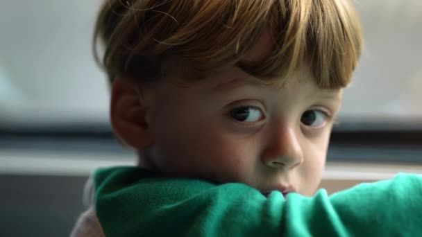 Closeup Child Traveling Train Pensive Expression One Contemplative Little Boy — Video