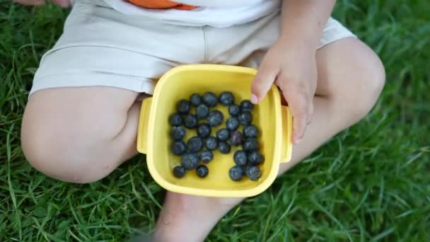 Child Hand Grabbing Blueberry Fruit Kid Snack Healthy Nutritious Food — Vídeos de Stock
