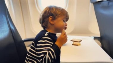 Little passenger boy seated inside airplane eating cookies.