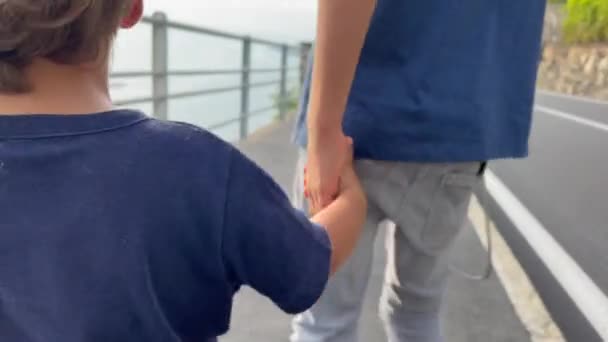 弟弟与弟妹牵着手 保护家庭的概念 两个兄弟手牵手走在一起 — 图库视频影像
