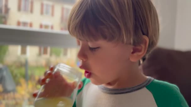 Μικρό Αγόρι Πίνει Χυμό Σνακ — Αρχείο Βίντεο