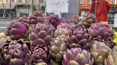 Vegetable purple artichokes on display at local market