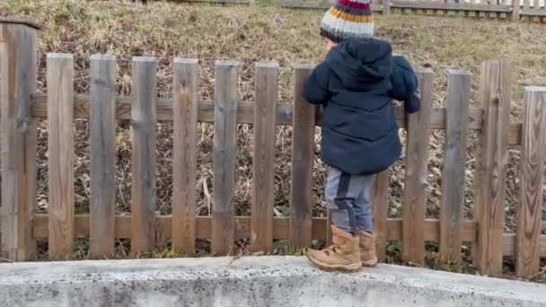 One Active Child Keeping Balance Playing Himself Little Boy Wearing — Stockvideo
