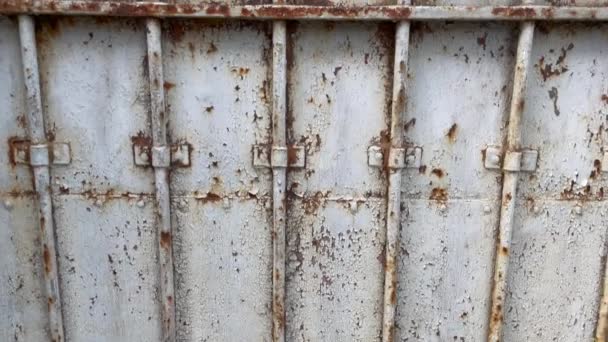 Antique Aged Rusty Metal Door — Wideo stockowe