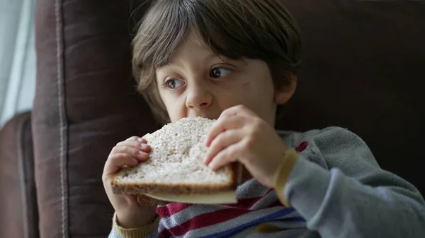 Child eating sandwich laying on couch. One little boy eats carb snack bread while watching cartoons