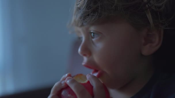 小さな男の子はリンゴの実を軽食 健康的な食べ物を一口飲んでいる子供 — ストック動画